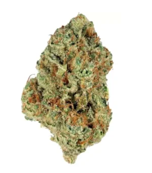 Bruce Banner N° 3