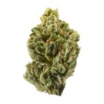 Colle Gorilla N° 4